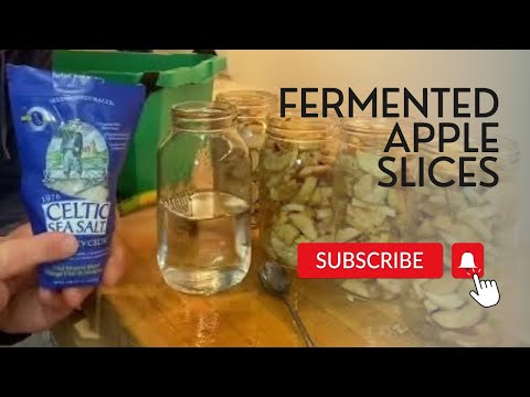 Making Fermented Apple slices ( How To Make Fermented Food Seres )
