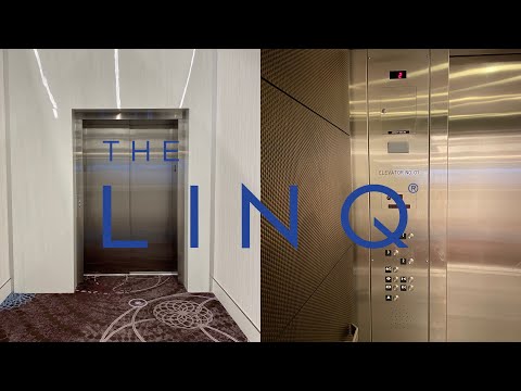 Replacement! Schindler Hydraulic elevator @ LINQ Monorail Station - Las Vegas, NV