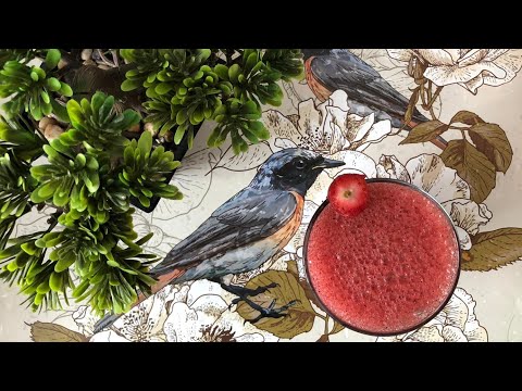 Summer Refreshing Drink - Red Berries | Blue Berries | Strawberries - 02 May 2020