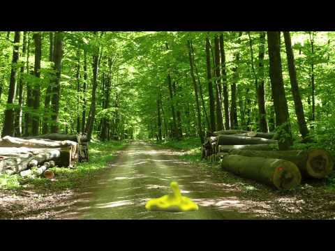 Knetfigurenfilm Ilsfeld: Videoantwort