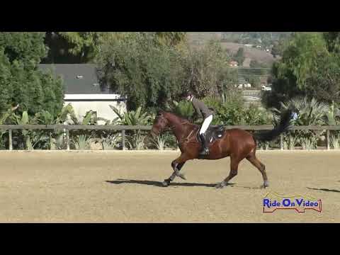 226S Addison Martin on Wingman Training Rider Show Jumping Galway Downs Nov. 2023