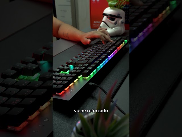 Video relacionado