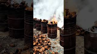 Download lagu Farmers Must Know! Tricks to Double Your Coconut Profits mp3 Download lagu Farmers Must Know! Tricks to Double Your Coconut Profits mp3