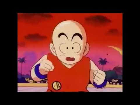 SUPAFLYLO - HELENS CHICKEN INTERLUDE