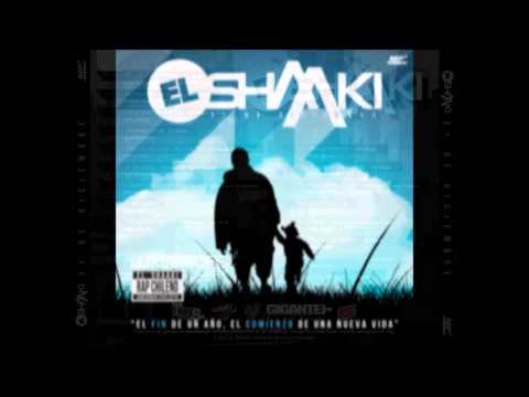 El Shaaki   31 de Diciembre 2014