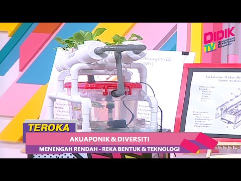 Teroka (2021) | Menengah Rendah : Reka Bentuk & Teknologi - Akuaponik & Biodiversiti