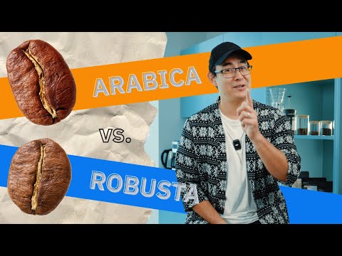 Arabica vs. Robusta Coffee Beans: What's The Difference?