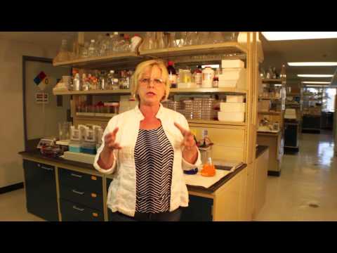 About Dr. Rath Research Institute | by: Dr. Aleksandra Niedzwiecki