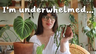 5 UNDERWHELMING HOUSEPLANTS!