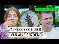 REGENDAAS VLIEGT WEG MIDDEN IN OPNAMES?! | Steken & Prikken | seizoen 3 #7 | NPO Zapp