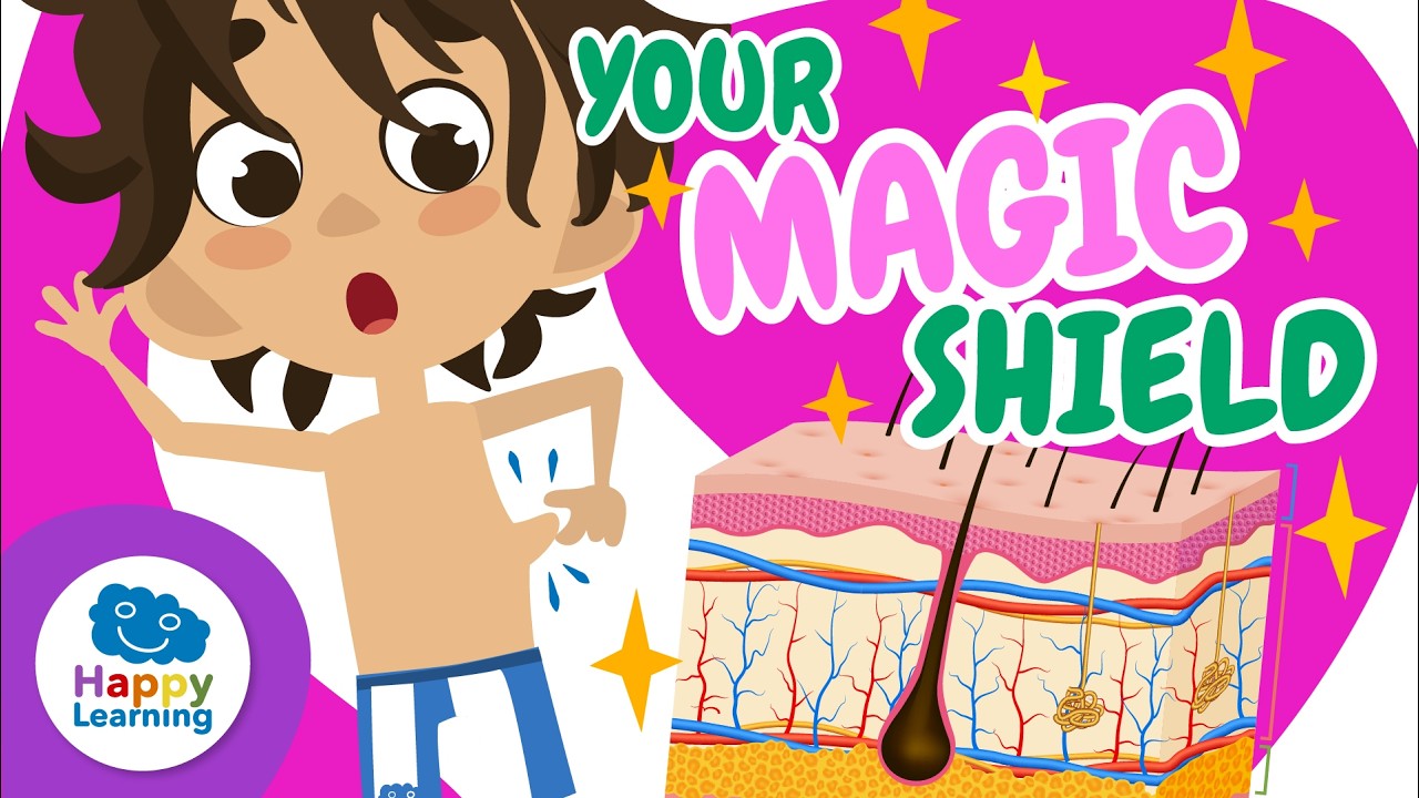 🛡️ Your SKIN regenerates itself! | Educational Videos for Children | @HappyLearningEN
