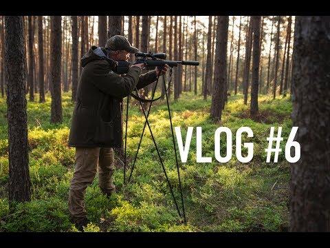 Jagd Dreispross VLOG#6