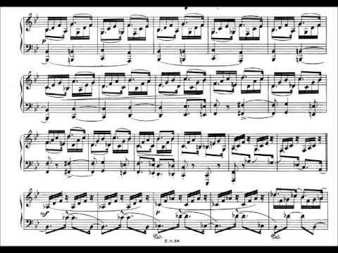 Richter - Schumann - Humoresque Op.20 with Score