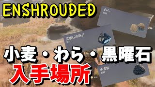 【ENSHROUDED エンシュラウデッド 攻略】見つけにくい？小麦粒・わら・黒曜石の原石 入手場所【日本語】
