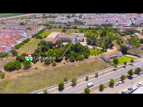 Vídeo Instituto Yucatal