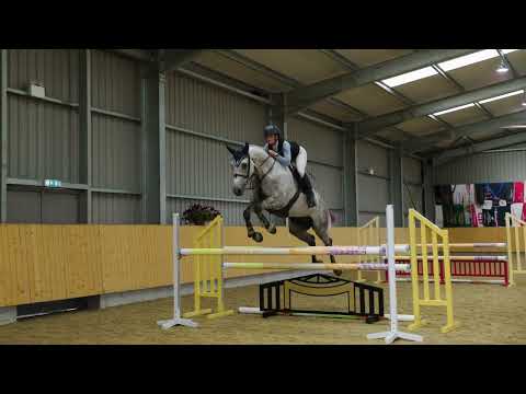 wkd little lord jumping