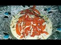 Doodh Jalebi Milk Jalebi Street Food Doodhjalebi Jalebi Streetfood Dessert NSKitchen Recipe