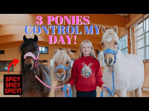 3 PONIES CONTROL MY DAY!!!  *ROLO IS EXTRA SPICY!*