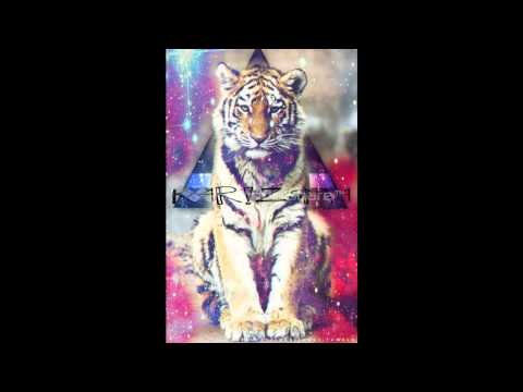 Psy Meet Demian Ngo ( K4riZSm4 mash up and edit 2013 )