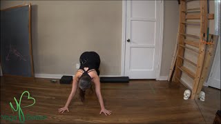 Level 2:  Friday Oct 23rd  11am (ANDRIA)