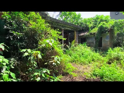 Priced at $2,000 No One Dare Live There – Single Mom Cleans, Renovates, and the Shocking Ending,