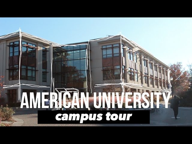 American University видео №1