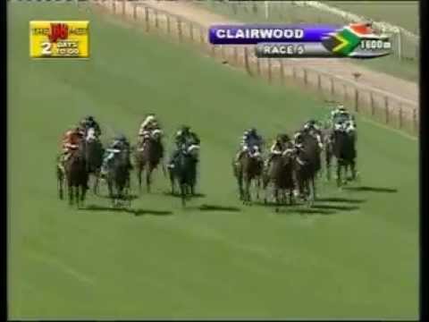 2013-01-31 Clairwood Park - race 5