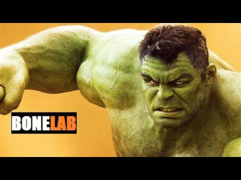The Incredible HULK - (BONELAB)