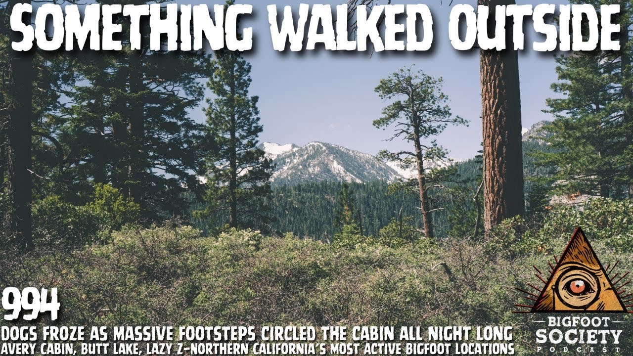 Something Stalked a Remote Avery, California Cabin While Two Dogs Froze in Terror