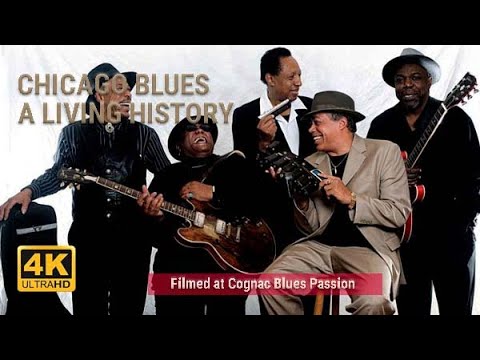 Chicago Blues Orchestra: A Living History
