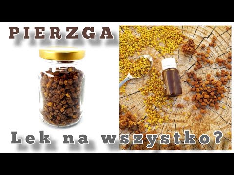 , title : 'PIERZGA Pszczela Czy To Jest Lek na WSZYSTKO ? #pierzga #pszczela #pszczoły #medycyna'