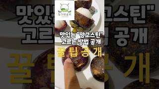 🇻🇳다낭 🇻🇳 에서 망고스틴 맛있는거 고르는방법? #베트남#제철과일#망고스틴#꿀팁#다낭정보