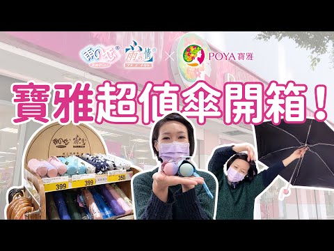 傘的種類