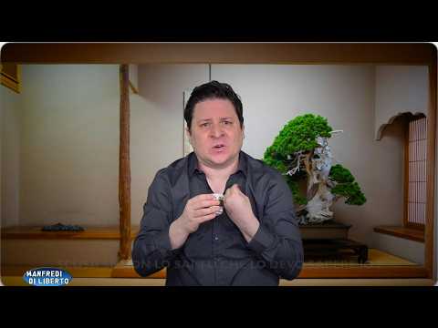 Quando tuo figlio ti porta al Sushi