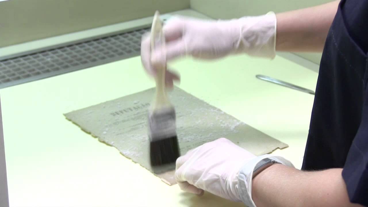 Preservação de Documentos no MAST - Parte 1