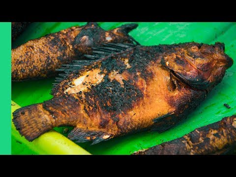 Mekong Charred Freshwater Fish! | The Ultimate MEKONG DELTA Tour (Day 2)