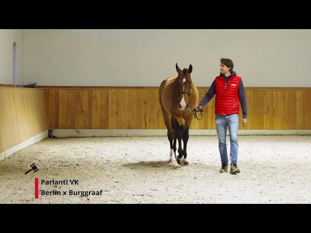 Parlanti VK