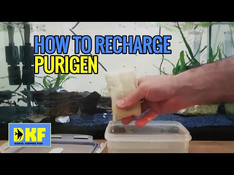 How to recharge Purigen.