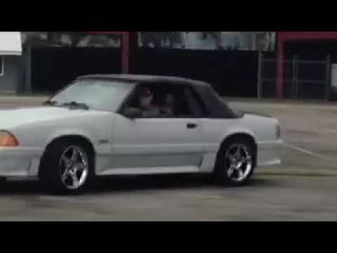 The fox gets took for a drive