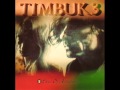 Timbuk3 - Standard White Jesus