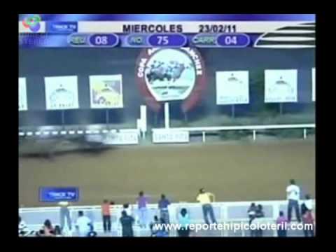 Resumen Santa Rita Miércoles 23/02/2011