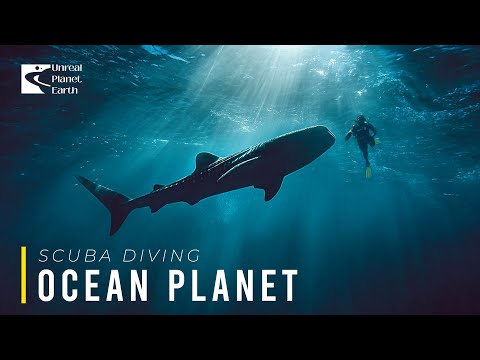Diving into Another World