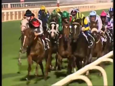 Dubai Sheema Classic 2006 G1 - Heart's Cry