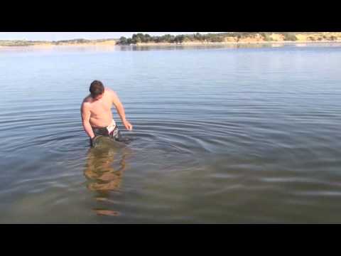 Fishmaniak  Rio Ebro catfish 106kg end 253cm