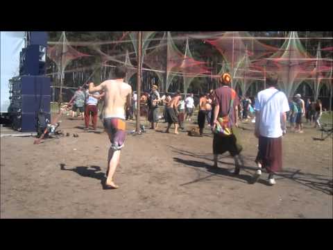 psychedelic circus 2013