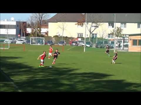 MS Spiel HW Wiener Neustadt beste Szenen