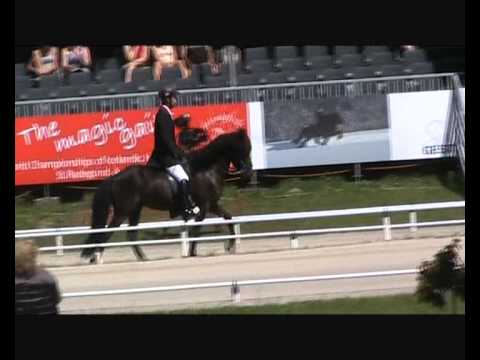 Eldvör vom Lipperthof  auf der Islandpferde WM 2011 in St. Radegund