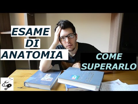 HOW TO PASS THE ANATOMY EXAM 1 - medpages