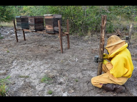 https://youtu.be/JCTKe40eG7g