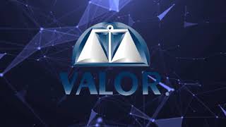 Servicios de Valuación Organizada